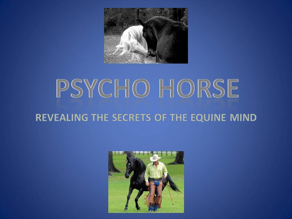 PSYCHO HORSE COVER